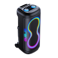 Enceinte portable sans fil professionnelle 100W, son puissant, longue autonomie, spectacle de lumière RGB, basses profondes, enceinte de fête