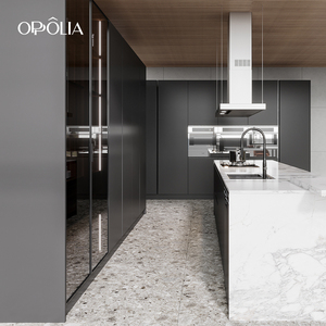 Meubles de cuisine modernes OPPOLIA OEM avec îlot, design sans poignées, grand espace de rangement, laque gris mat moyen, E0 - Product Image 3