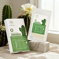 Masque Facial Hydratant et Apaisant au Cactus Mexicain Fermenté, Antioxydant, Réparateur, Éclat et Beauté Naturelle