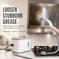 Limpiador a Vapor Portátil para el Hogar, Limpieza de Campanas de Cocina, 110V 220V, Generador de Vapor con Certificación CE