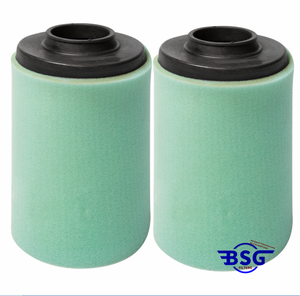 Filtro aria Per CAN-A M Bombardier 707800174 Outlander 650 Renegade 500 800 - Product Image 2