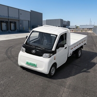 Meilleure Vente : Camionnette Électrique Compacte T10 – Idéale pour le Stationnement en Ville et la Livraison de Marchandises