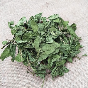 Foglie di Menta Essiccate Bo <span class=keywords><strong>He</strong></span>, Nuovo Raccolto, Grado Tè, Menta Piperita Aromatica, Ingredienti per Tè - Product Image 2