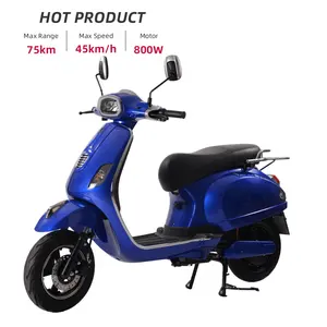 Two Wheels Unisex People Applicable 60v 800w Motor Power Adult Electric Scooter Motorcycle