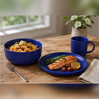 Service de table 16 pièces en grès rustique bleu, finition céramique mate de qualité supérieure, durable et compatible lave-vaisselle, comprenant assiettes, bols et tasses