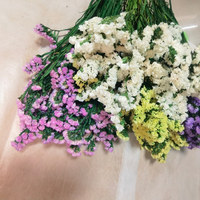 Arrangement de fleurs naturelles préservées - Myosotis Sylvatica, Statice Limonium - Décorations de mariage d'intérieur