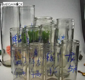 Bình Thủy Tinh Trụ Cột Nhà Máy Để Đốt Nến <span class=keywords><strong>7</strong></span> Ngày Dài Hơn 6.2X21Cm, 8X28Cm, 5.5X18Cm Bình Nến Tôn Giáo Nhãn Hiệu Riêng - Product Image 1