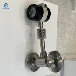 Explosieveilige digitale vortex-stroommeter voor toepassingen in de energie-industrie, met name voor het meten van waterstofgas, kooldioxide en vloeistoffen. - Product Image 1