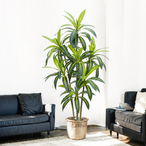 Hot Bán Nhân Tạo Mô Phỏng Brazil Gỗ <span class=keywords><strong>Dracaena</strong></span> Sàn Cây Trong Chậu Cho Đám Cưới Ngoài Trời Trang Trí Nội Thất Cây Cảnh Cây - Product Image 3