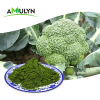 Extrait de brocoli pur à base de plantes, poudre de pousses de brocoli séchée par pulvérisation