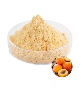 ผงแอปริคอตออร์แกนิคธรรมชาติ ผงผลไม้อะพริคอต ผงน้ำแอปริคอต - Product Image 4