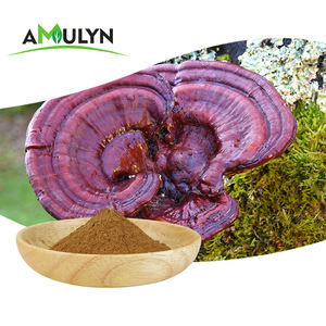 Bolsa ganoderma de ervas orgânicas usda, lingzhi reishi, extrato de cogumelo para cuidados de saúde - Product Image 3