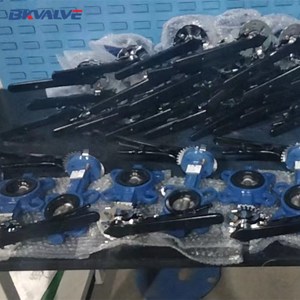 2 <span class=keywords><strong>in</strong></span> DN50 DN65球墨铸铁圆杆手动蝶阀价格表 - Product Image 4