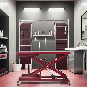 Bella apparenza Pet toelettatura salone tavolo stabile di sollevamento con caratteristiche sostenibili in gomma ferro materiale gatti cani - Product Image 2