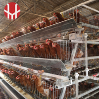 Nuevo Sistema Profesional de Jaulas para Aves de Corral YiFeng, Jaulas para Gallinas Ponedoras Tipo A, Alambre de Acero de Bajo Contenido de Carbono, Modelo YF-A120/YF-A160 para Tailandia