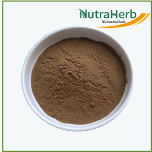 पानी में घुलनशील प्राकृतिक Ardisia Crenata निकालने पाउडर मूंगा Ardisia रूट निकालें - Product Image 3