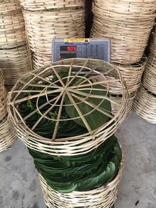 ใบพลู - Product Image 4