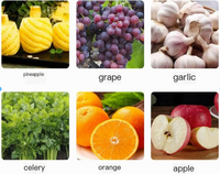 Commerciële schroefpers voor fruit- en groentesap, koudgeperste sapcentrifuge voor drankenverwerkingsbedrijven