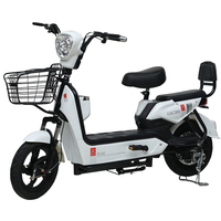 Bicicleta Eléctrica Urbana y de Carretera para Adultos, 350W 500W 48V 15AH 16AH 20AH 24AH, Bicicleta Eléctrica de 2 Plazas