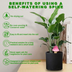 Abreuvoir automatique pour plantes d'intérieur Pointes en terre cuite et outils de jardinage essentiels Casquettes de plantes saines pour l'irrigation - Product Image 4