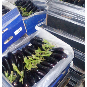 มะเขือม่วงออร์แกนิกจากธรรมชาติ100% อาหารสดคุณภาพสูงจากอียิปต์พร้อมขายมะเขือม่วงอร่อย - Product Image 3