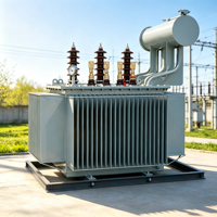 Transformateur de distribution triphasé immergé dans l'huile CE EAC ISO UL S11 100KVA 50/60Hz 6.3kV 10kV