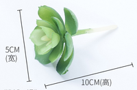 Décoration de mariage taille haute, succulente, japonaise, pour mariage
