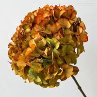 Groothandel Ins Populaire Geconserveerde Grote Blad Hortensia Bloemen Gedroogde Hortensia Voor Bruiloft Decoratie Hortensia Bloemen