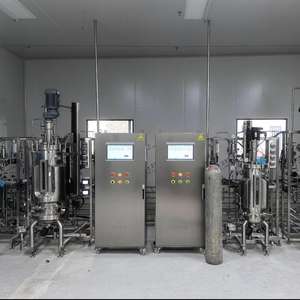 Bailun 50L Cuves de fermentation en acier inoxydable Agitation Bioréacteur Fermenteur Bio Réacteur pour bactéries BLBIO-SJA - Product Image 2