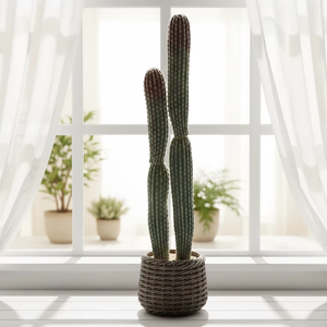 <span class=keywords><strong>Cactus</strong></span> réaliste de <span class=keywords><strong>colonne</strong></span> de <span class=keywords><strong>cactus</strong></span> artificiel superbe grand pour la décoration de bureau de salon à la maison - Product Image 6