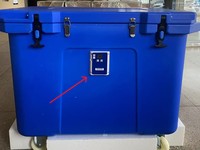 Capteur numérique de température et d'humidité haute précision (version hors ligne) - Enregistreur de données de température et d'humidité