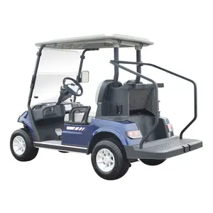 Tùy chỉnh thiết kế chuyên nghiệp nhà cung cấp điện Golf Câu lạc bộ giỏ hàng pin lithium 2 chỗ ngồi điện Golf Buggy giỏ hàng