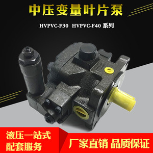 ปั๊มวาล์วแปรผัน Jylsi รุ่น HVPVC 50 Fa3 ปั๊มน้ำมันไฮดรอลิก 250 บาร์ 1 สเตจ โครงเหล็กหล่อ ขับเคลื่อนด้วยไฟฟ้าแนวนอน - Product Image 5