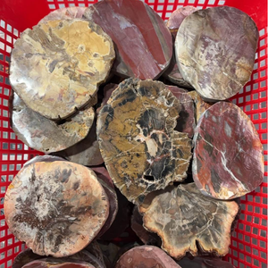 <span class=keywords><strong>Lastra</strong></span> di Cristallo Naturale Lucidato con Fossili, Diverse Dimensioni, Pezzo Grezzo di <span class=keywords><strong>Pietra</strong></span>, Campione, Energia Curativa Spirituale, Logo Personalizzato, Sicuro - Product Image 6