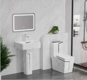 เครื่องสุขภัณฑ์ในห้องน้ำแบบทันสมัย WC พร้อมอ่างล้างหน้าแบบมีรูปแบบ<span class=keywords><strong>ที่</strong></span>แตกต่างกัน - Product Image 1