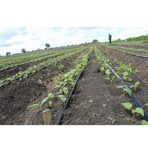 Système d'irrigation goutte à goutte agricole à bande plate de 16 mm pour 1 <span class=keywords><strong>hectare</strong></span>, conception gratuite - Product Image 4