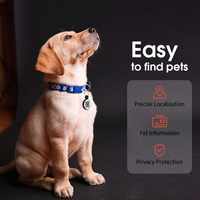 Solides Smart QR-Code ID-Tag Nylon-Hundehalsband mit Schnellverschluss-Funktion, Bandverzierung und Personalisierungsoptionen