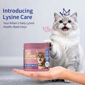 Complément alimentaire OEM/ODM <span class=keywords><strong>pour</strong></span> chats : Friandises molles à la <span class=keywords><strong>lysine</strong></span> <span class=keywords><strong>pour</strong></span> soutenir le système immunitaire et la <span class=keywords><strong>lysine</strong></span> à double force - Product Image 6