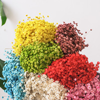 Fleurs séchées naturelles en gros, mini fleurs étoiles brésiliennes préservées pour arrangements floraux de mariage et décoration intérieure
