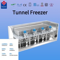Congélateur tunnel IQF de haute qualité avec contrôle de température, équipement de congélation rapide pour poissons congelés