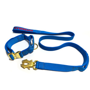 Conjunto de Correa y collar de perro con hebilla de Metal grabado dorado resistente táctico de nailon bordado de lujo - Product Image 2