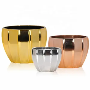 Creative Home Office Desktop in Vaso Balconi per le Ragazze Pianta Verde di Porcinella Placcato Piccolo Vaso di Fiori - Product Image 1