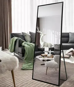 Modern Luxury Metal Framed Floor Mirror With Standing Holder Bedroom Wall Mounted Dressing Mirror