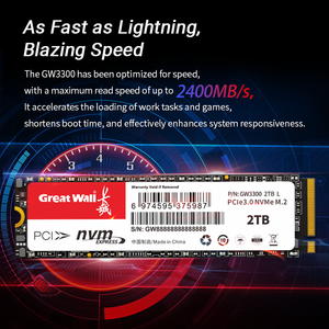Grande parete GW3300 NVMe <span class=keywords><strong>M</strong></span>.<span class=keywords><strong>2</strong></span> PCIe3.0 SSD 3D NAND TLC particelle architettura 128G/256G/512G/1T/2T grande capacità velocità di lettura 2400 MB/s - Product Image 5