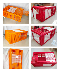 ZB 3 porte in plastica di grandi dimensioni gabbia di trasporto pollame vivo uccello anatra di tacchino casse di trasporto di pollo - Product Image 6