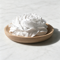 Diffuseur d'huiles essentielles en pierre de plâtre parfumé, fait main, en céramique sur base bois, pour la maison, parfum d'ambiance, désodorisant d'air, vente en gros