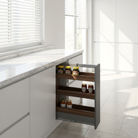 Étagère à épices coulissante amovible en aluminium pour cuisine, facile à nettoyer