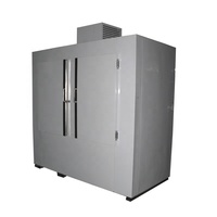 Al Aire Libre 2 puertas sólidas vertical personalizado comercial aislado Merchandiser Ice Bin