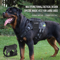 Harnais pour chiens de taille moyenne à grande, laisse, accessoires pour animaux de compagnie, harnais tactique réglable pour la promenade et l'entraînement en extérieur