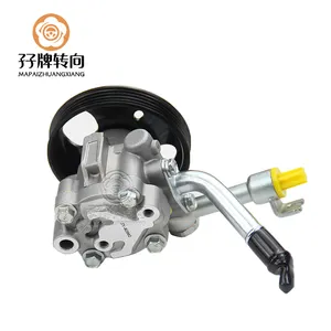 auto Hydraulic power steering pump for Nissan Navara D40 YD25 49110-EB700 49110-EB300